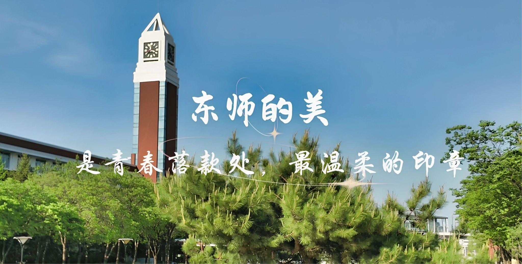 三等奖15项
