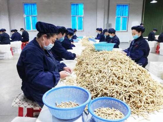 糖生物学专业研究生等 报告时间