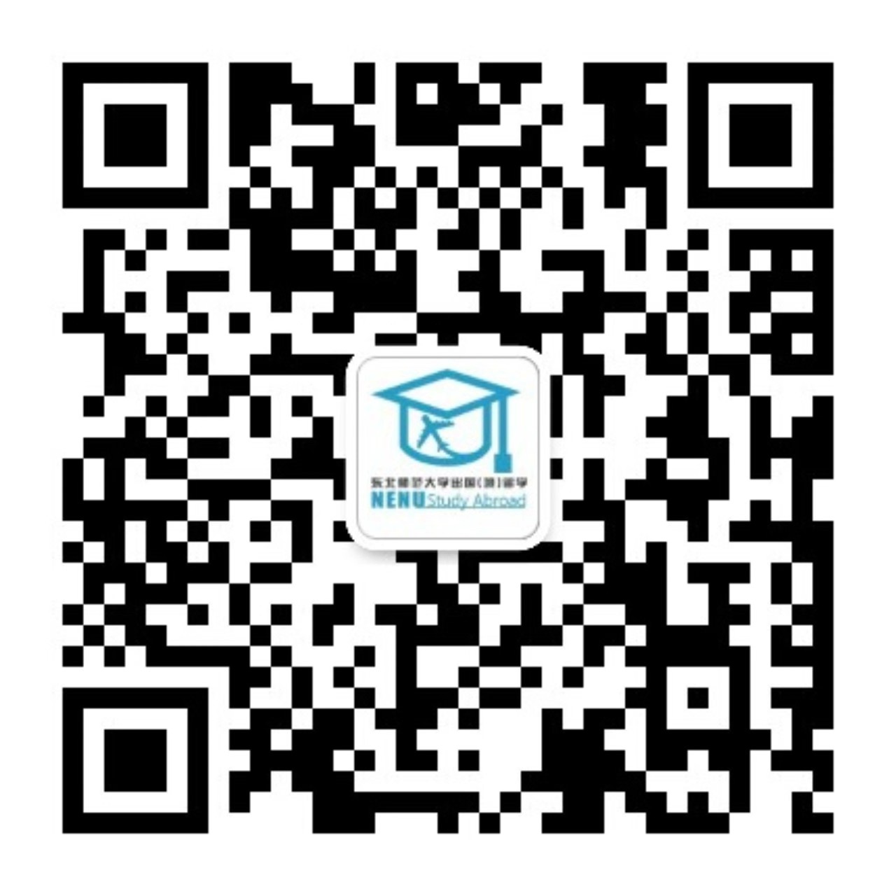 国际组织实习项目以及国外政府
